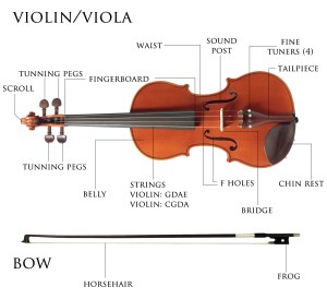 lrg-violin-partsnames-002